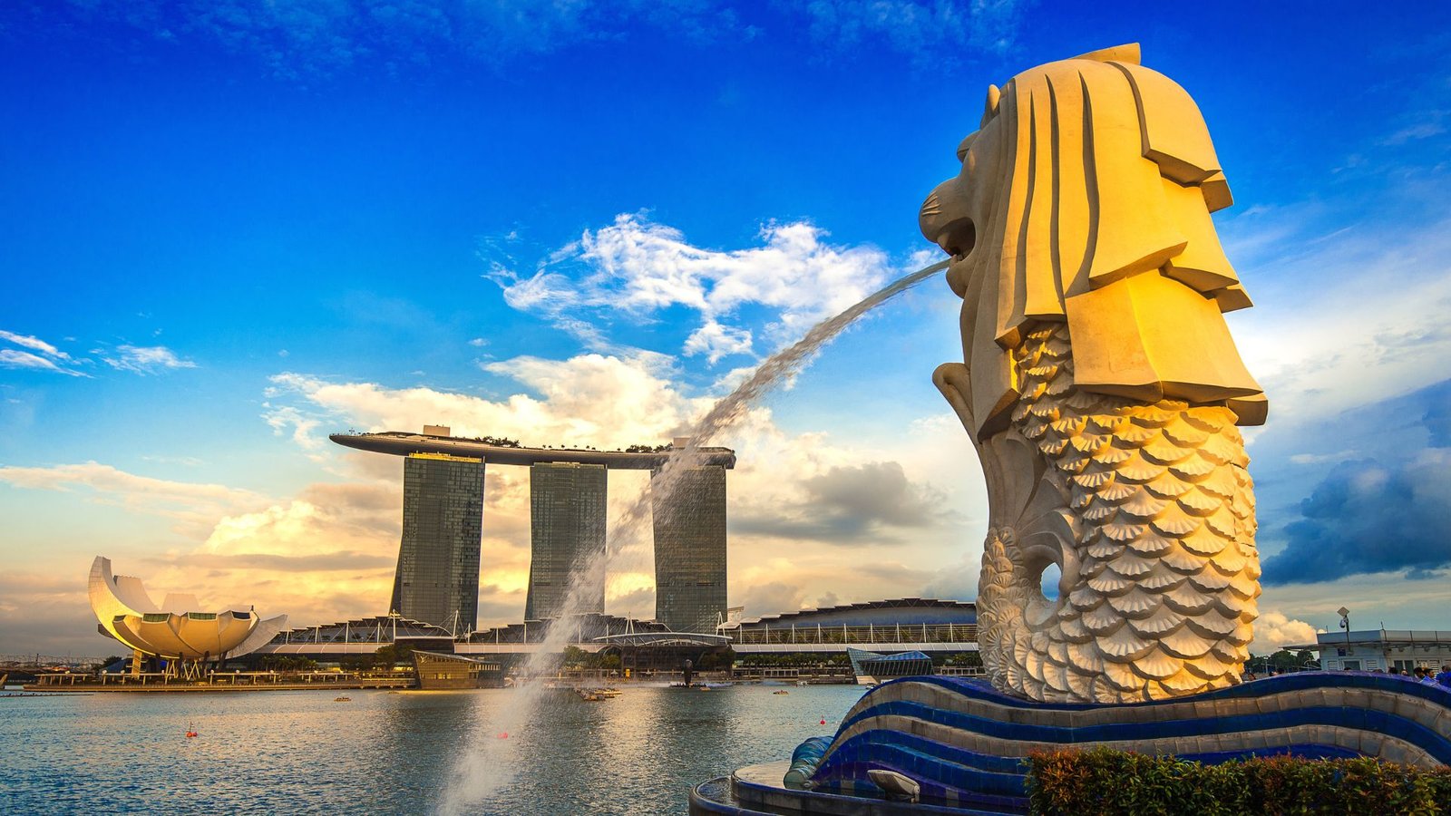 Panduan Lengkap Berobat ke Singapura